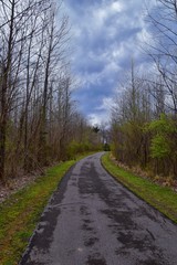 Views of Nature and Pathways along the Shelby Bottoms Greenway and Natural Area Cumberland River frontage trails, bottomland hardwood forests, open fields, wetlands, and streams, Nashville, Tennessee.