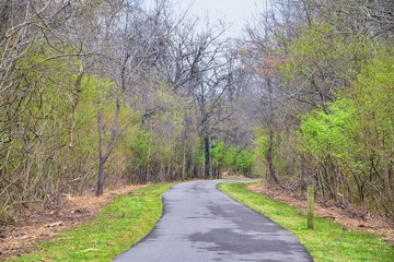 Obraz premium Views of Nature and Pathways along the Shelby Bottoms Greenway and Natural Area Cumberland River frontage trails, bottomland hardwood forests, open fields, wetlands, and streams, Nashville, Tennessee.