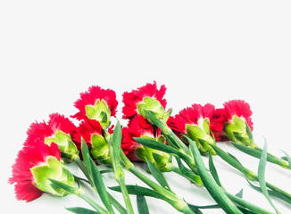 bunch of red carnation