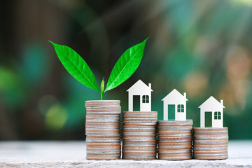 Tree growing with paper house on coins stack for saving to buy a house