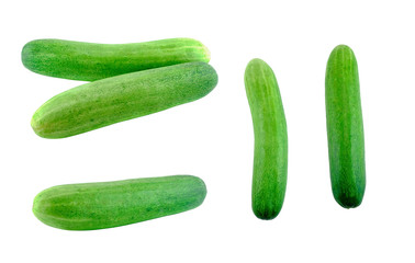 isolated cucumber on white background