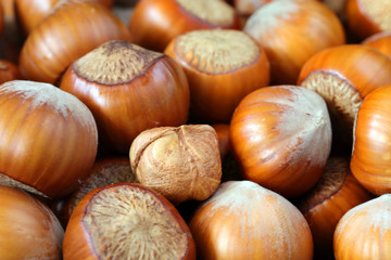hazelnuts on a wooden background