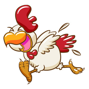 chicken vector cartoon