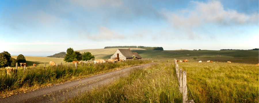 Troupeau pr&egrave;s du buron