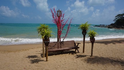 tropical coral beach on koh samui