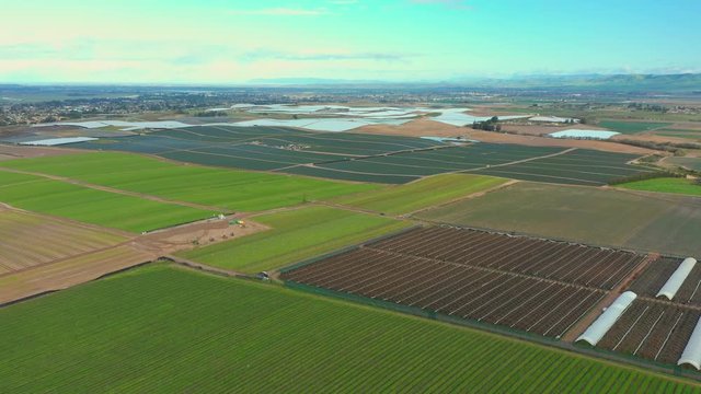 Drone footage grape farms Santa Barbara CA