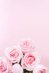 Fototapeta na wymiar bouqet delicate pink roses on pink background