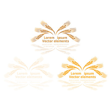 Wheat ears, oats or barley three vector    logotypes set golden on white background