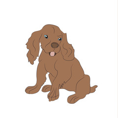 dog sitting, lines, vector