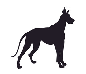 dog stands, silhouette, vector