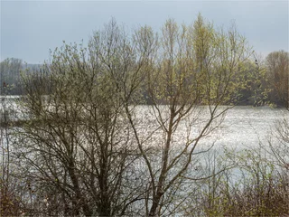 Foto auf Leinwand lac au printemps dans la Base de Loisirs du Val de Seine à l'ouest de Paris © Francois