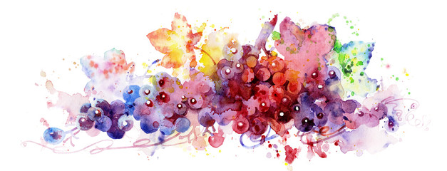 Red grapes, watercolor illustration, plant element for design and creativity. Branch of grapes. Handmade watercolors. Multi-colored grapes.