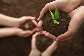 Women setting out plants in soil