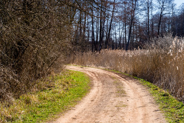 Fototapeta na wymiar Dolina rzeki Supraśl, Puszcza Knyszyńska, Wiosna na Podlasiu