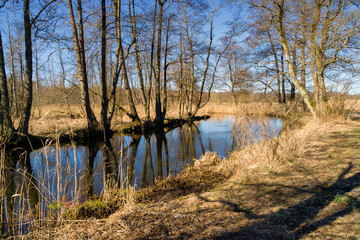 Dolina rzeki Supraśl, Puszcza Knyszyńska, Wiosna na Podlasiu © podlaski49