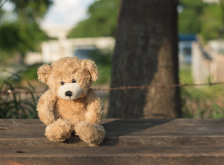 Lonely Teddy bear sitting on wood chair in garden,soft focus.