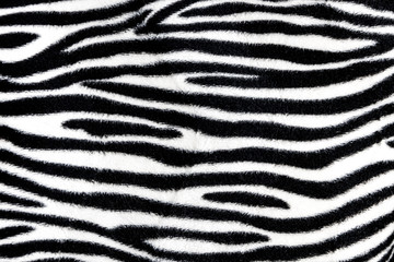 Zebra fur background texture