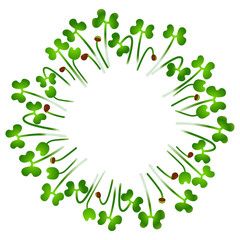 Microgreens Collard. Arranged in a circle. White background