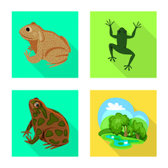 frog and frog