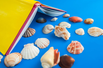 Obraz na płótnie Canvas seashell and yellow book on a blue background