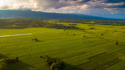 Aerial photos from drones see rice fields Of Phayao, Thailand