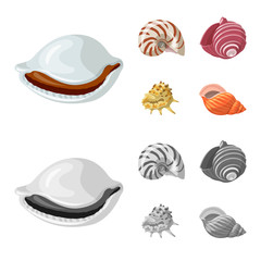 set of sea shells