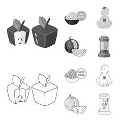 vector icons set