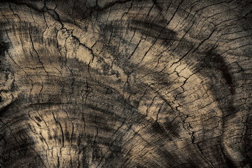 Wood texture or wood background. Wood for interior exterior decoration and industrial construction concept design.