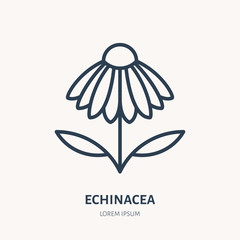 Chamomile flat line icon. Medicinal plant echinacea vector illustration. Thin sign for herbal medicine logo - obrazy, fototapety, plakaty