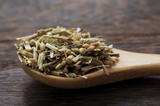 (Herbal) Yarrow's image