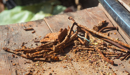 Fototapeta na wymiar old rusted nails in detail