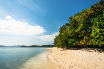 Sandy wild beach with turquoise water and green trees on tropical Cagsalay island, Philippines