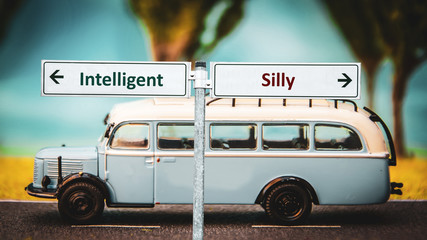 Street Sign Intelligent versus Silly