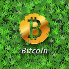 Cannabis the new bitcoin
