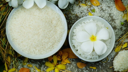 Thai rice grain characteristics