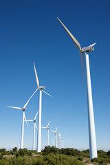 Fototapeta premium Wind energy concept