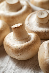 Mushrooms close up