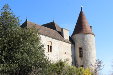 Fototapeta na wymiar Château La Palud Quincié en Beaujolais