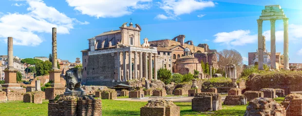Plexiglas foto achterwand Roman Forum in sunny day, Rome, Italy © Sergey Yarochkin