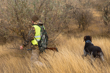 Hunters with a german drathaar and spaniel, pigeon hunting with dogs in reflective vests	
