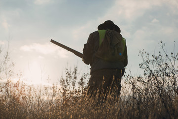 Hunters with a german drathaar and spaniel, pigeon hunting with dogs in reflective vests	