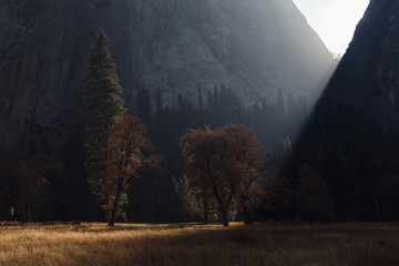 Afternoon autumn sun illuminates colorful foliage in Yosemite Valley, Yosemite National Park
