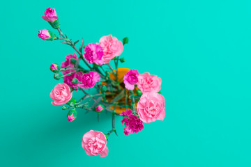 Fototapeta premium Cyan background with carnations flowers and copy space