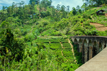 Fototapeta na wymiar Nine arch bridge in Ella in Sri Lanka