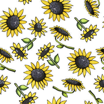 Seamless flower pattern. Sunflowers. Summer flowers. Print for fabric and other surfaces.