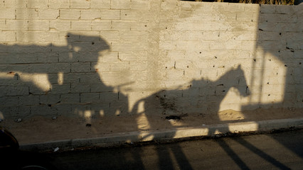 the shadow of a horse and cart on a brick wall