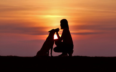 Silhouettes at sunset, girl and dog against the backdrop of an incredible sunset, Belgian Shepherd Malinois, hugging