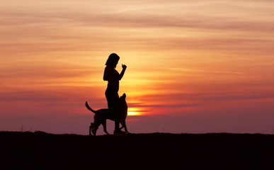 Fototapeta premium Silhouettes at sunset, girl and dog running against the backdrop of an incredible sunset, Belgian Shepherd Malinois