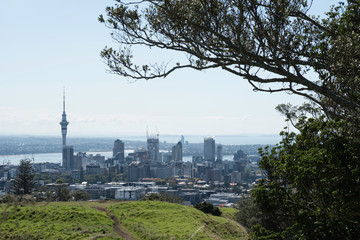 Elevated view of the centre of Auckland City from the summit of the volcanic crater of Mount Eden, framed by the branches of a pohutukawa tree, with the North Shore and Hauraki Gulf in the background.