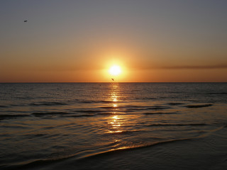 Fototapeta na wymiar Sea sunset with seagulls